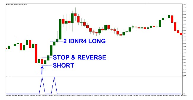 IDNR4 grafico