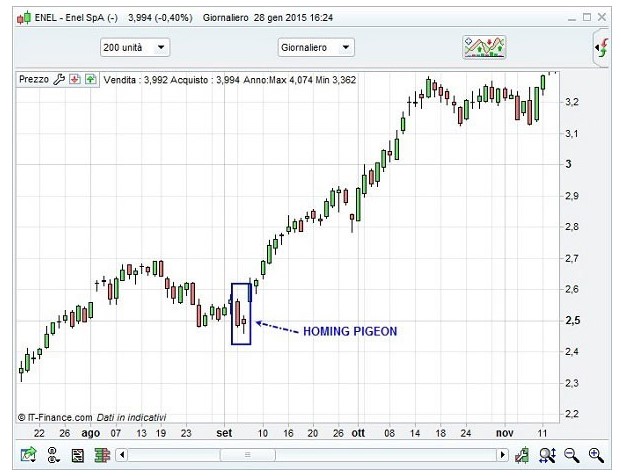 homing pigeon applicazione
